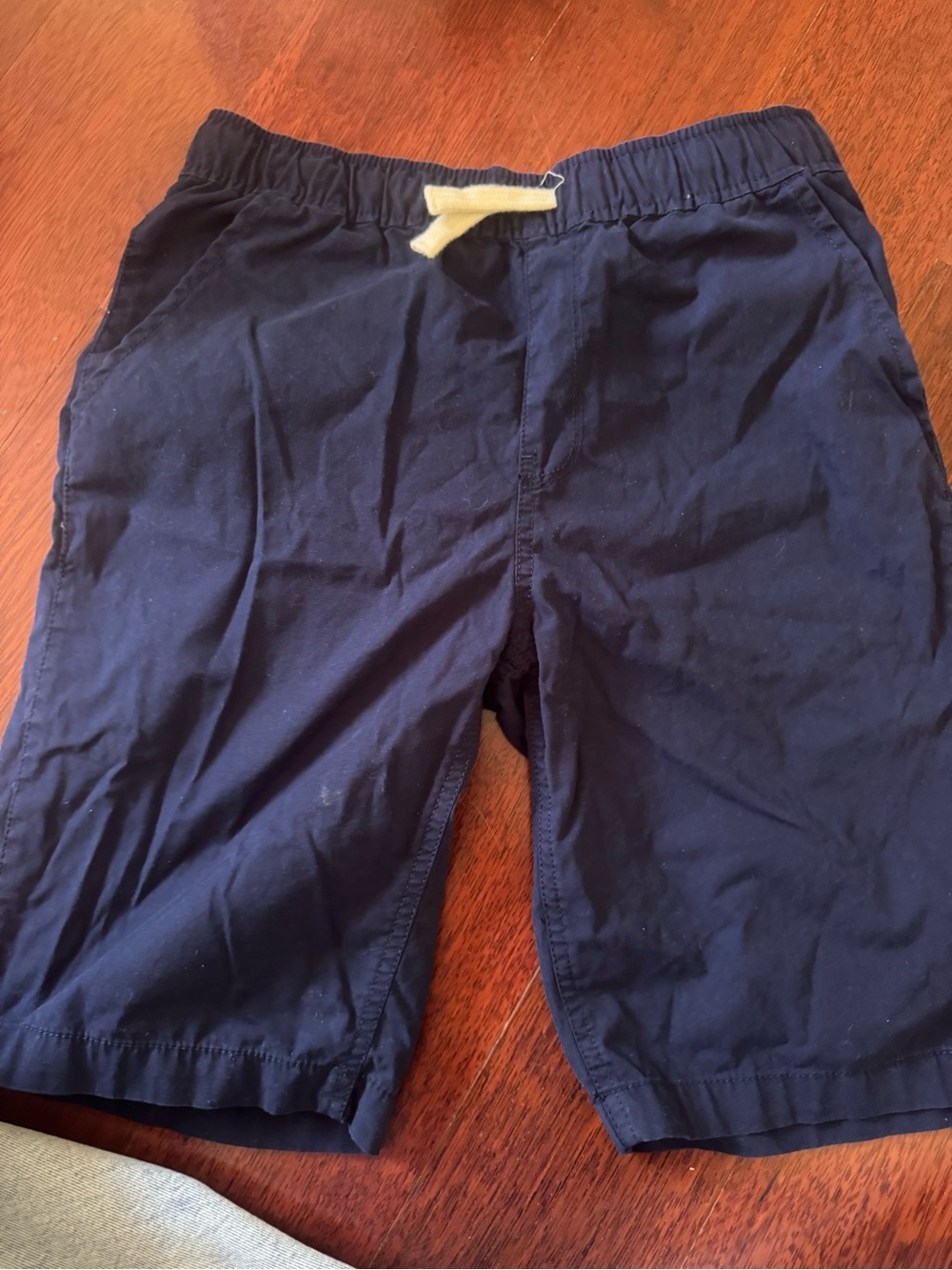 Place Men's Navy Drawstring Flat Front Shorts